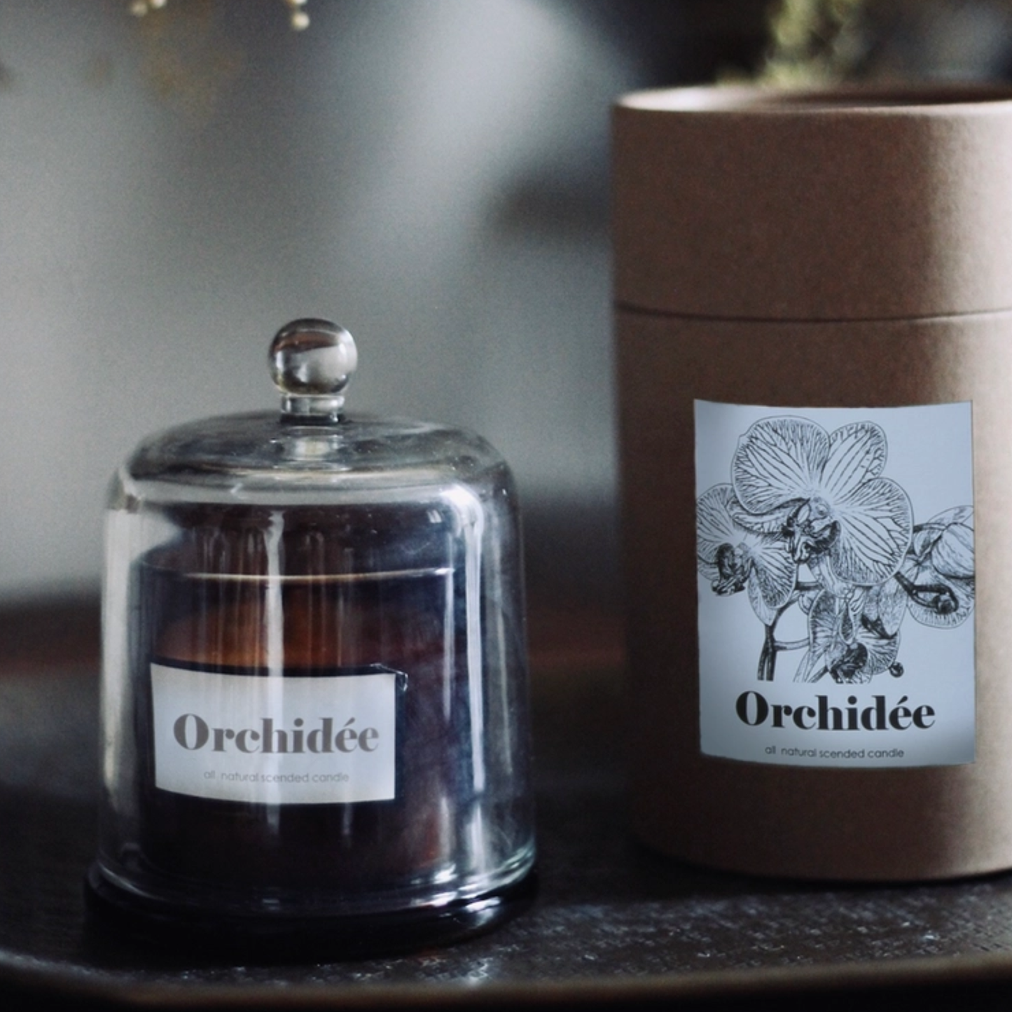 Bell Candle, White Orchid