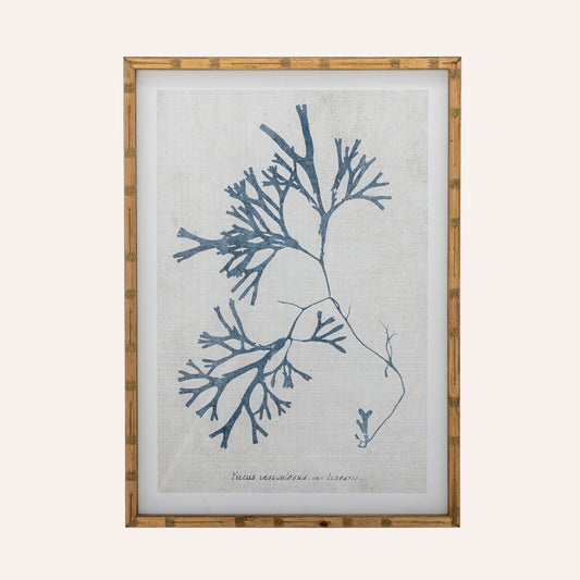 Bloomingville Sumner Framed Coral Art Print