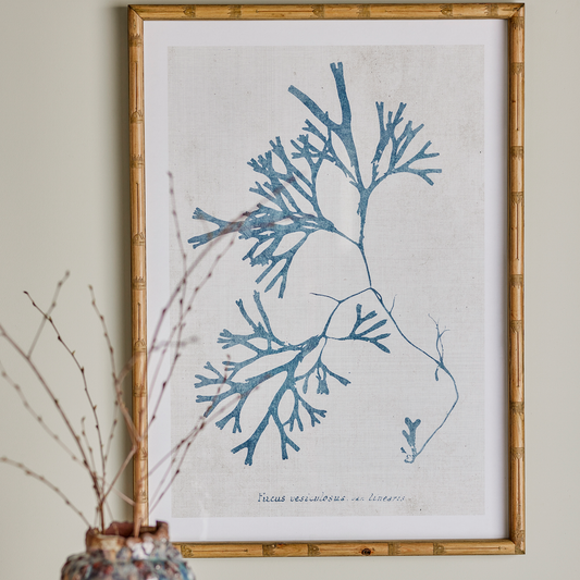 Framed Coral Art Print
