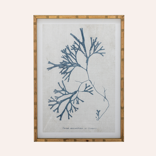 Framed Coral Art Print