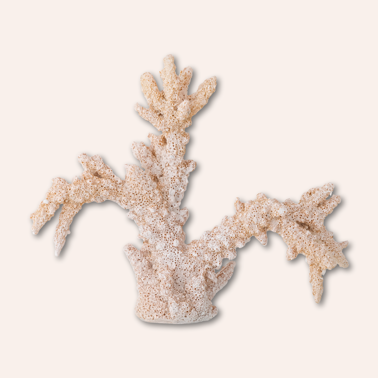 Coral Sculpture, Soft Pink