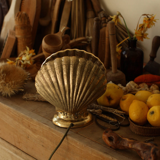 Scarlett Shell Table Lamp